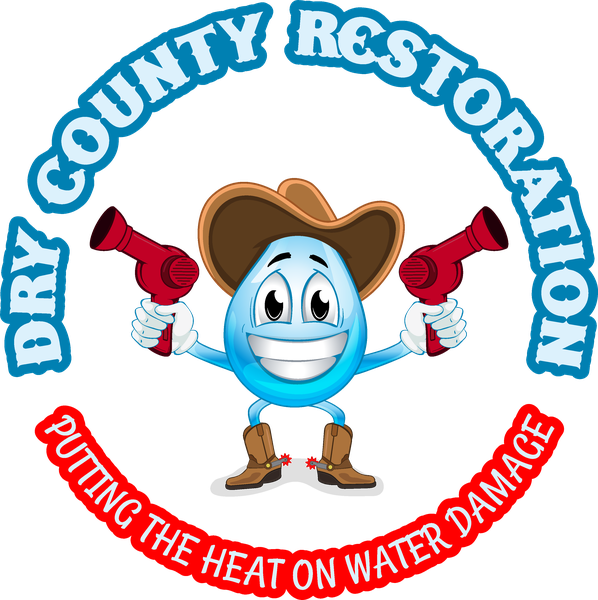 Dry County Restoration logo